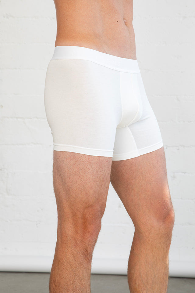 Men's Boxer Briefs
