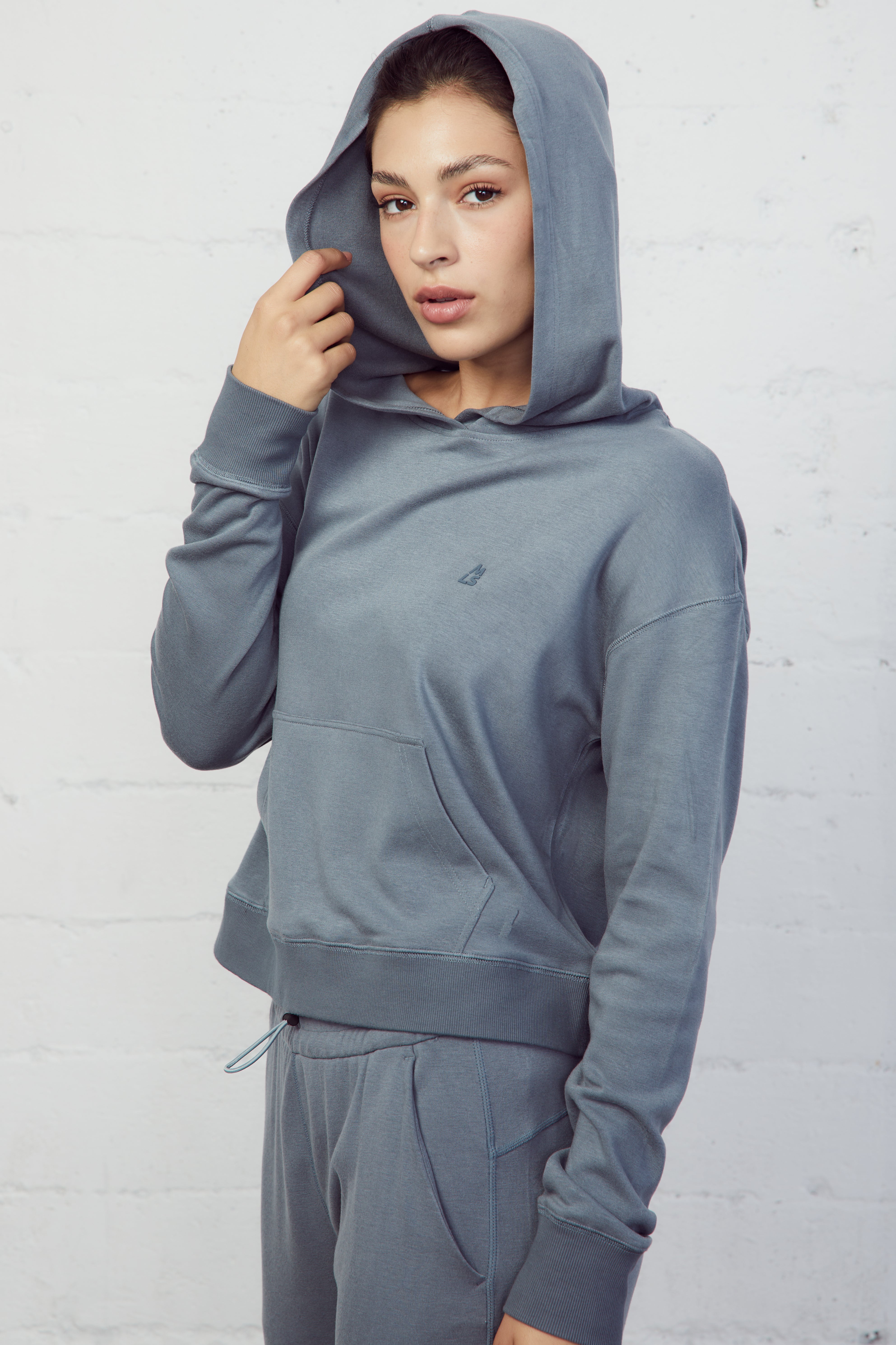 Carlyle Cropped Hoodie