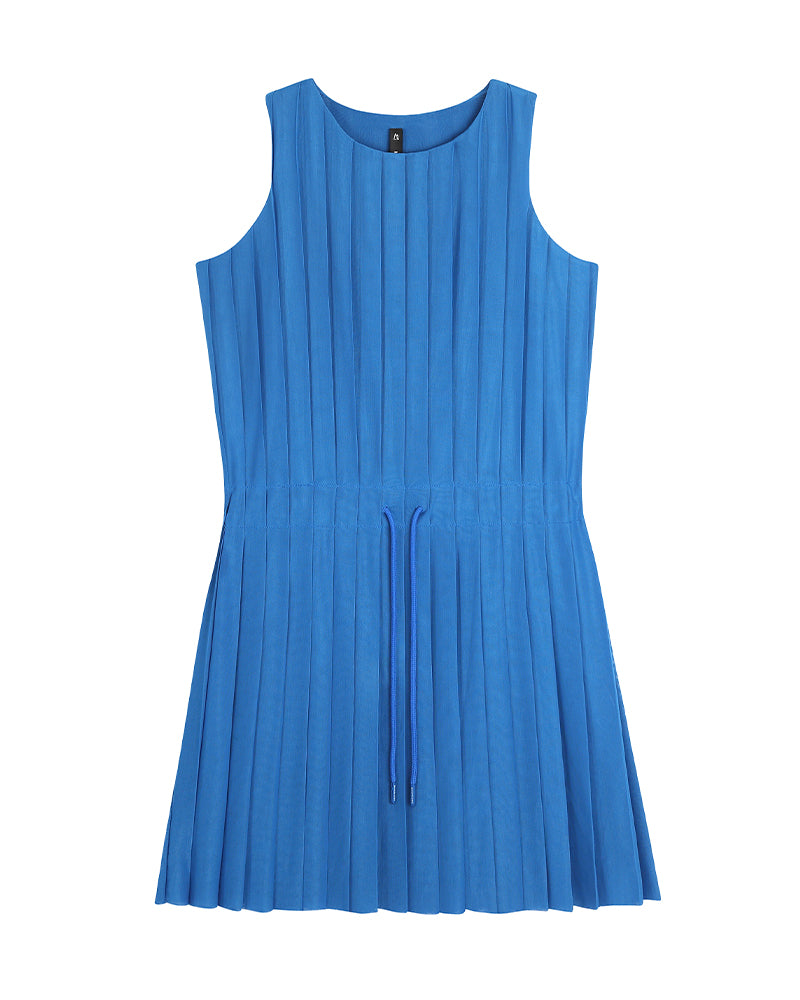 Echo Pleated Mini Dress