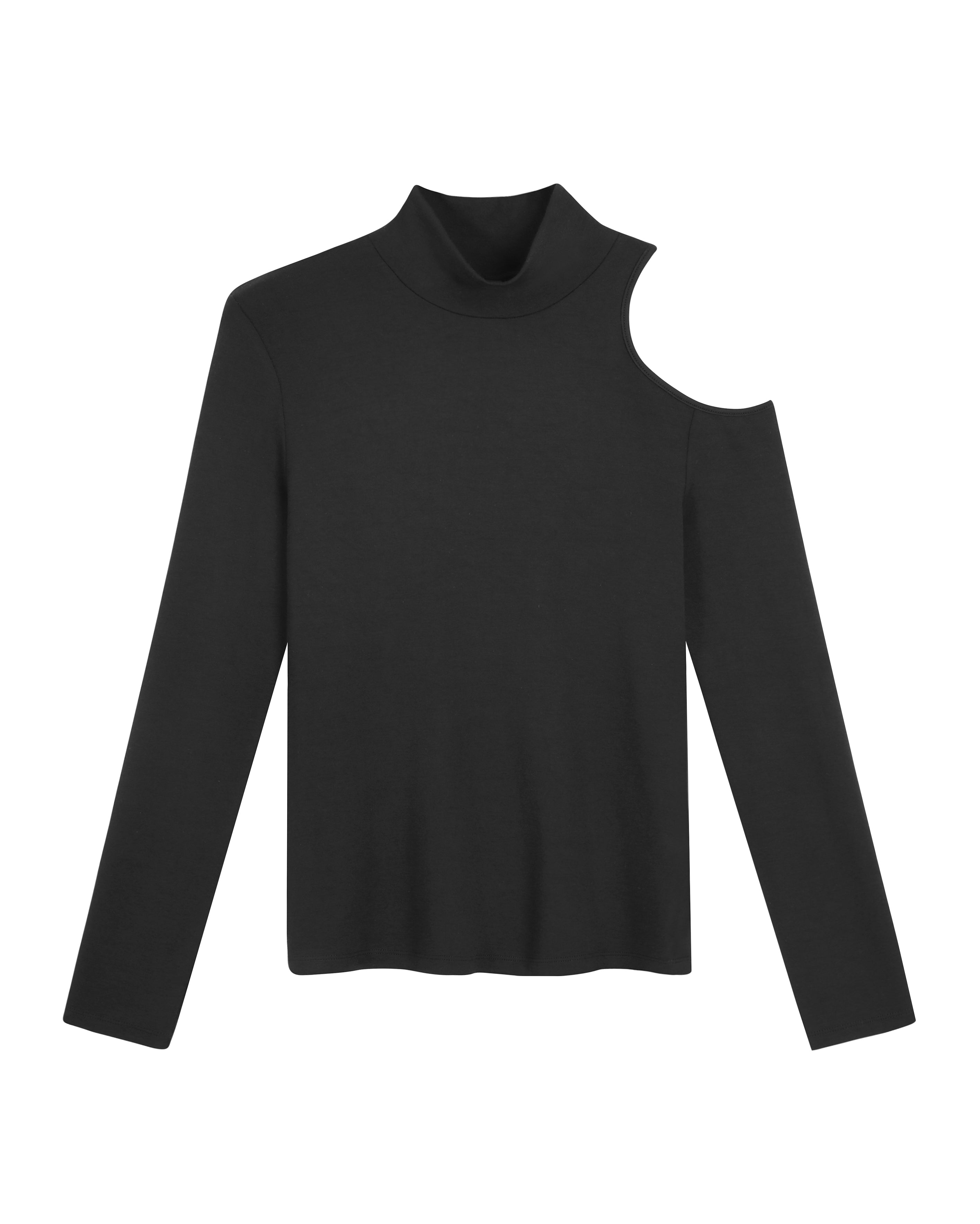 Amber Roya Turtleneck