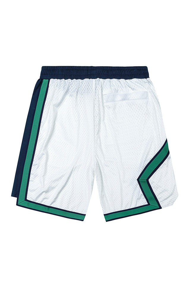 Mesa Pieced Bball Shorts